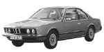 BMW E24 C202A Fault Code
