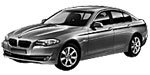 BMW F10 C202A Fault Code